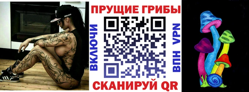 Галлюциногенные грибы GOLDEN TEACHER  Купить  Губкинский 
